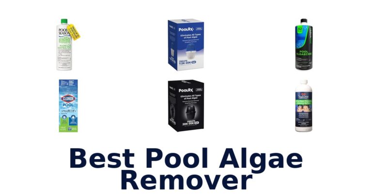 Best Pool Algae Remover
