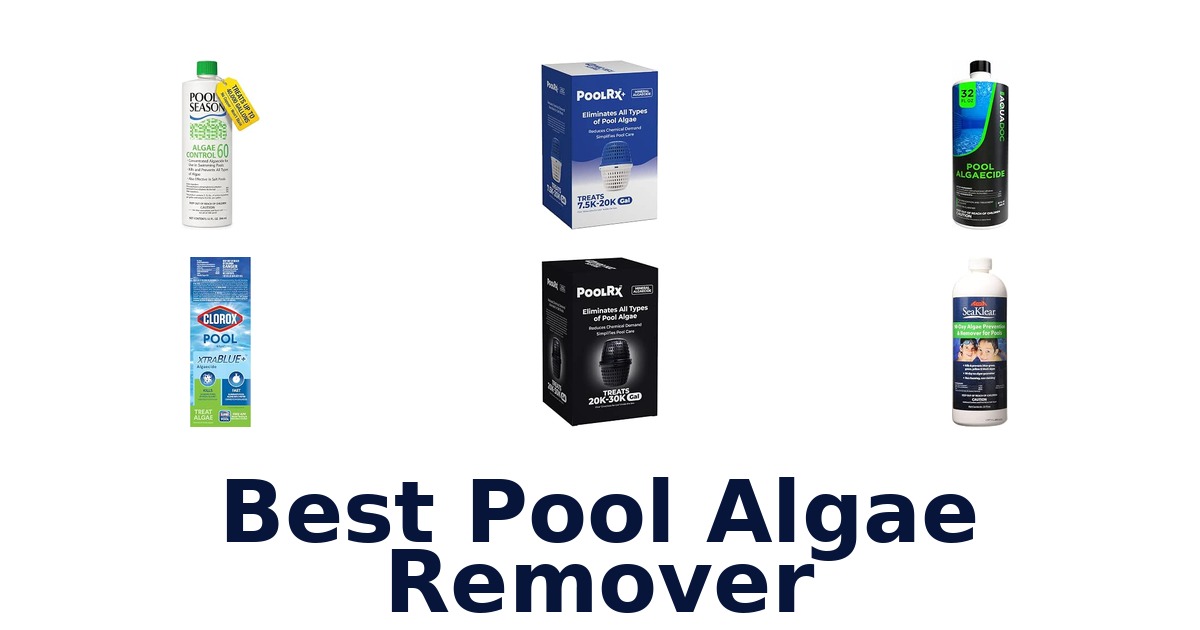 Best Pool Algae Remover