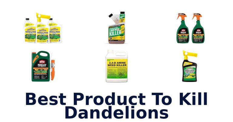 Best Product To Kill Dandelions