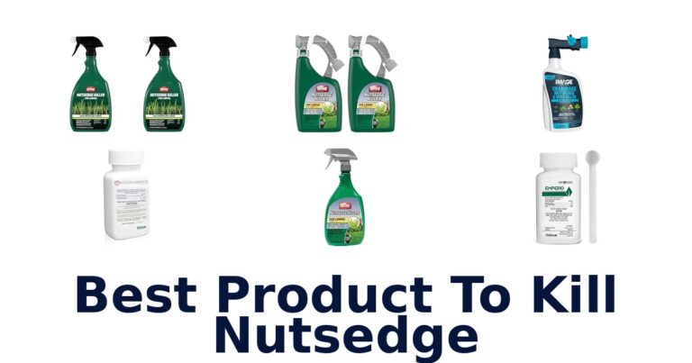 Best Product To Kill Nutsedge