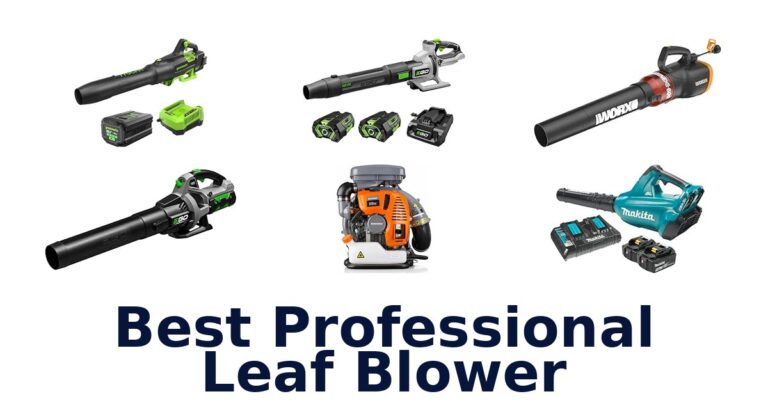 Best Professional Leaf Blower