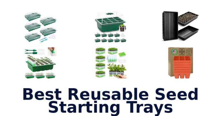 Best Reusable Seed Starting Trays