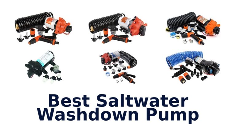 Best Saltwater Washdown Pump
