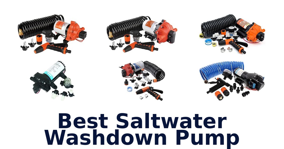 Best Saltwater Washdown Pump