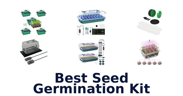 Best Seed Germination Kit