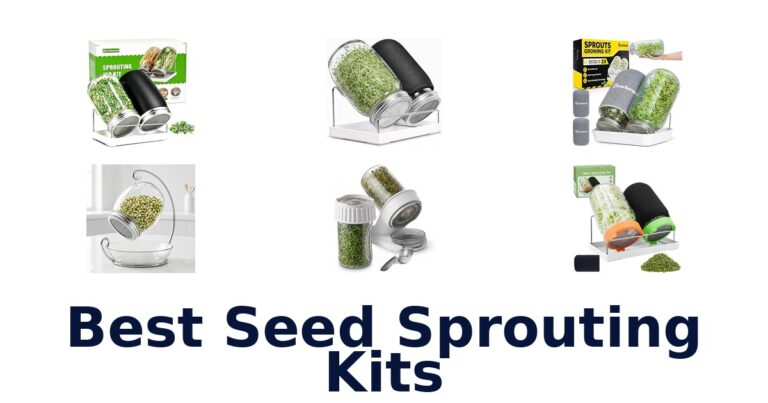 Best Seed Sprouting Kits
