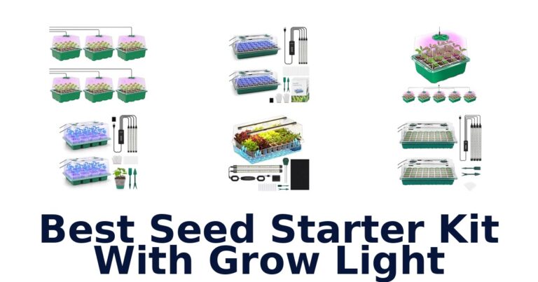 Best Seed Starter Kit With Grow Light