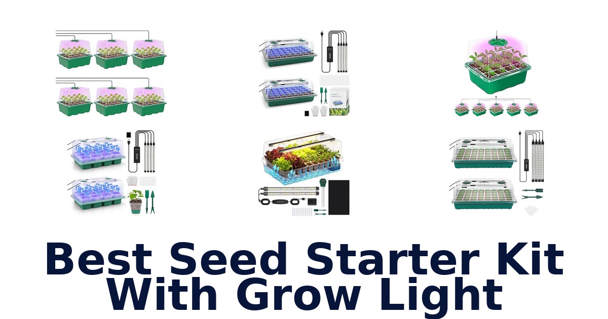 Best Seed Starter Kit With Grow Light