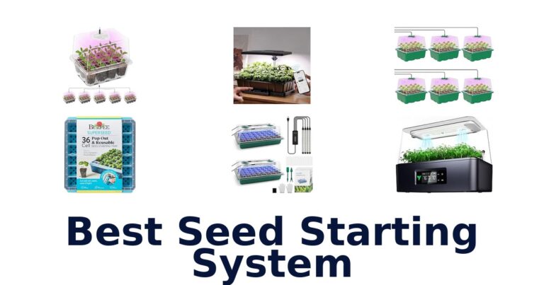 Best Seed Starting System