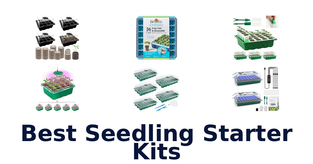 Best Seedling Starter Kits