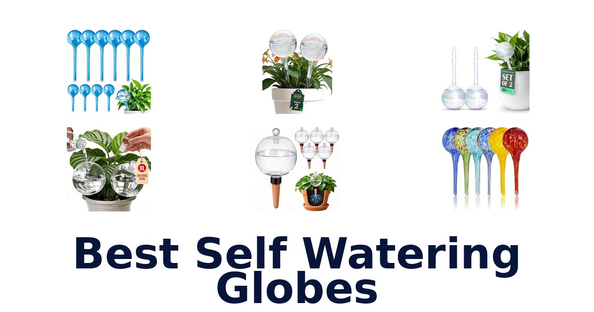 Best Self Watering Globes