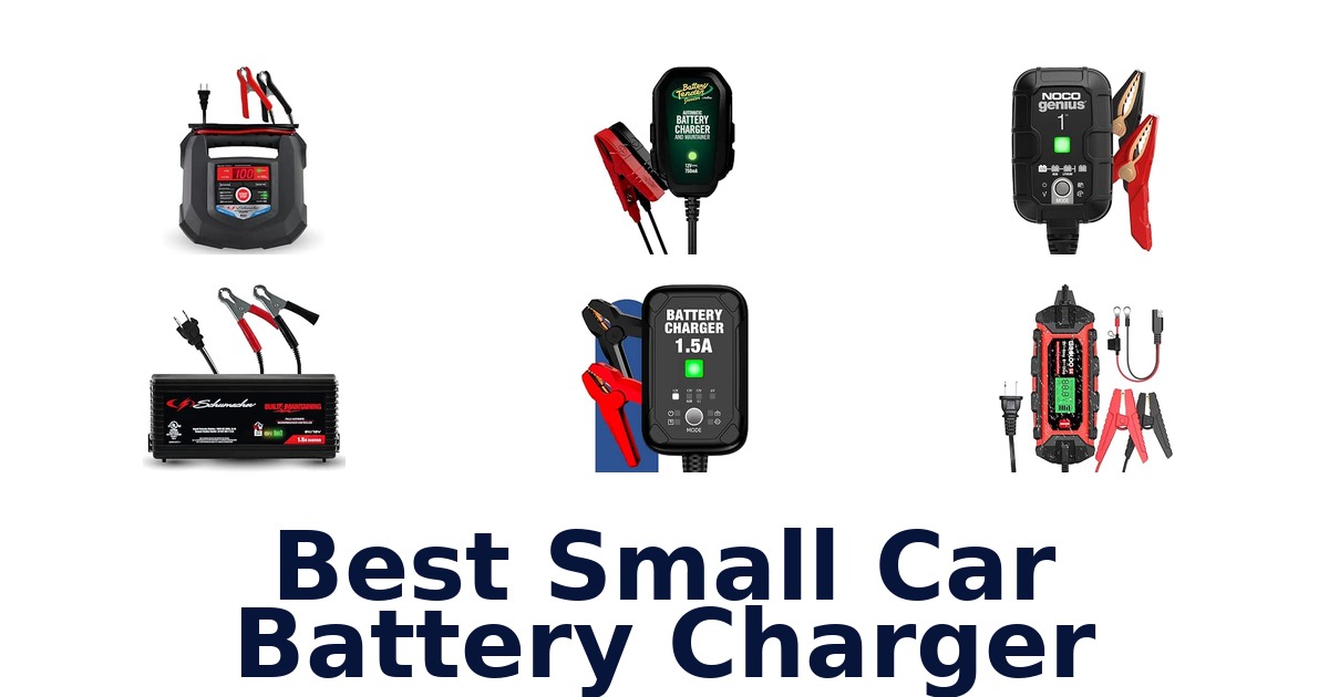 Best Small Car Battery Charger