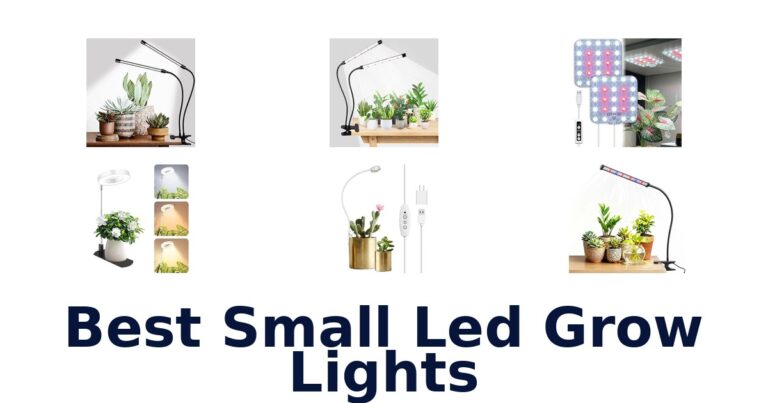 Best Small Led Grow Lights
