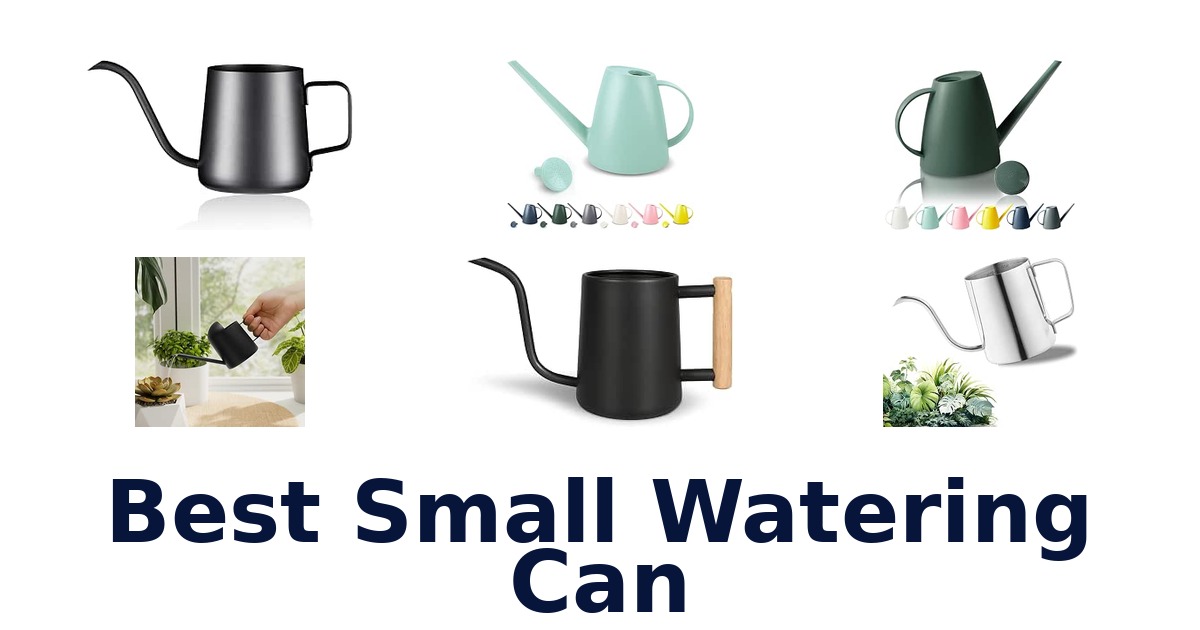 Best Small Watering Can