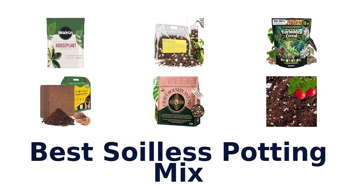 Best Soilless Potting Mix