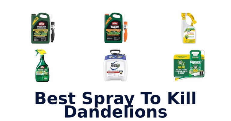 Best Spray To Kill Dandelions