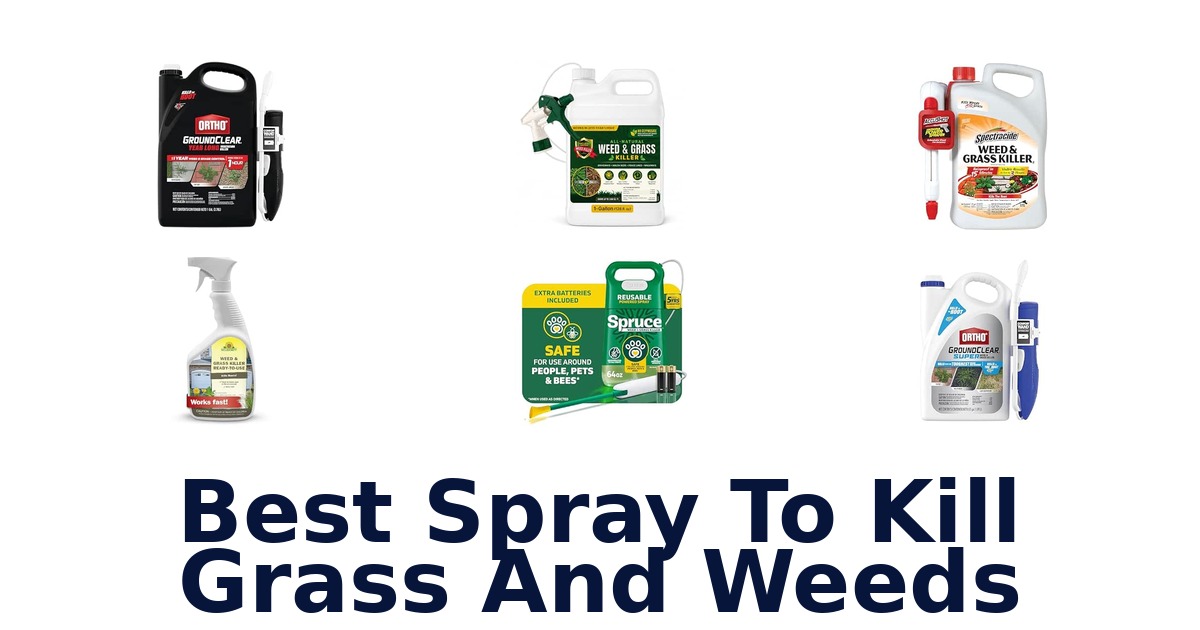 Best Spray To Kill Grass And Weeds