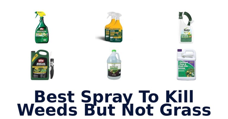 Best Spray To Kill Weeds But Not Grass