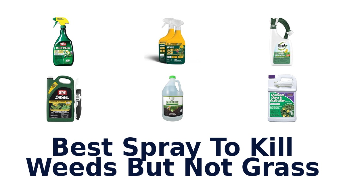 Best Spray To Kill Weeds But Not Grass