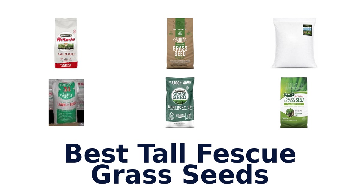 Best Tall Fescue Grass Seeds