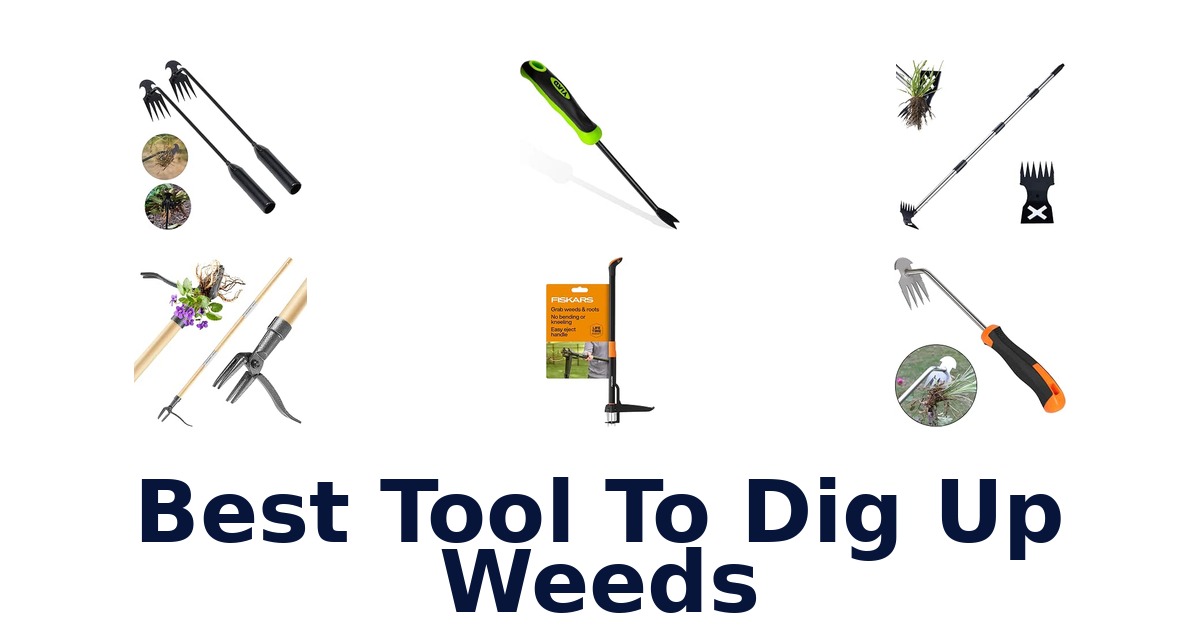Best Tool To Dig Up Weeds