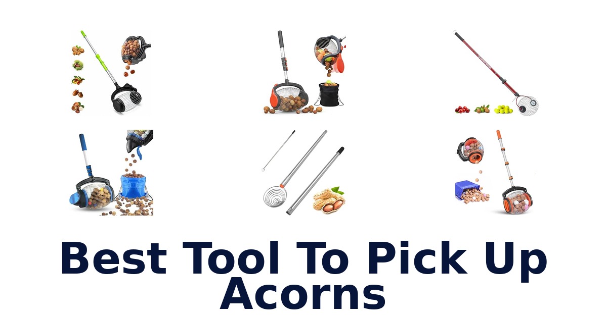 Best Tool To Pick Up Acorns