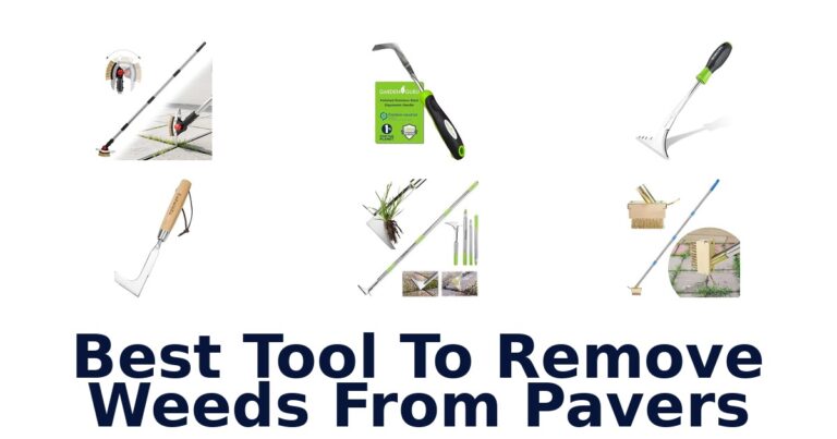 Best Tool To Remove Weeds From Pavers