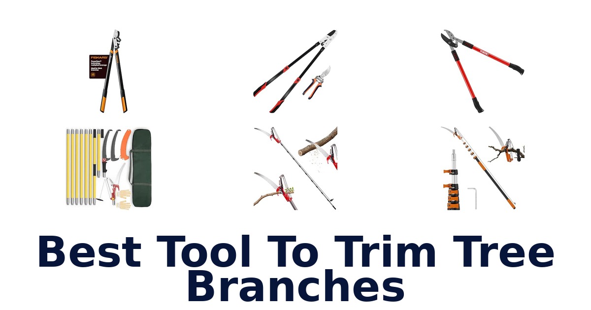 Best Tool To Trim Tree Branches