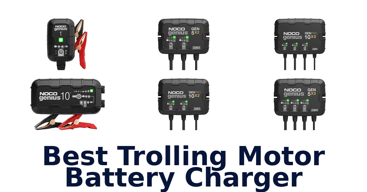 Best Trolling Motor Battery Charger