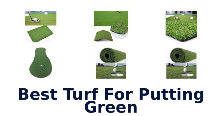 Best Turf For Putting Green