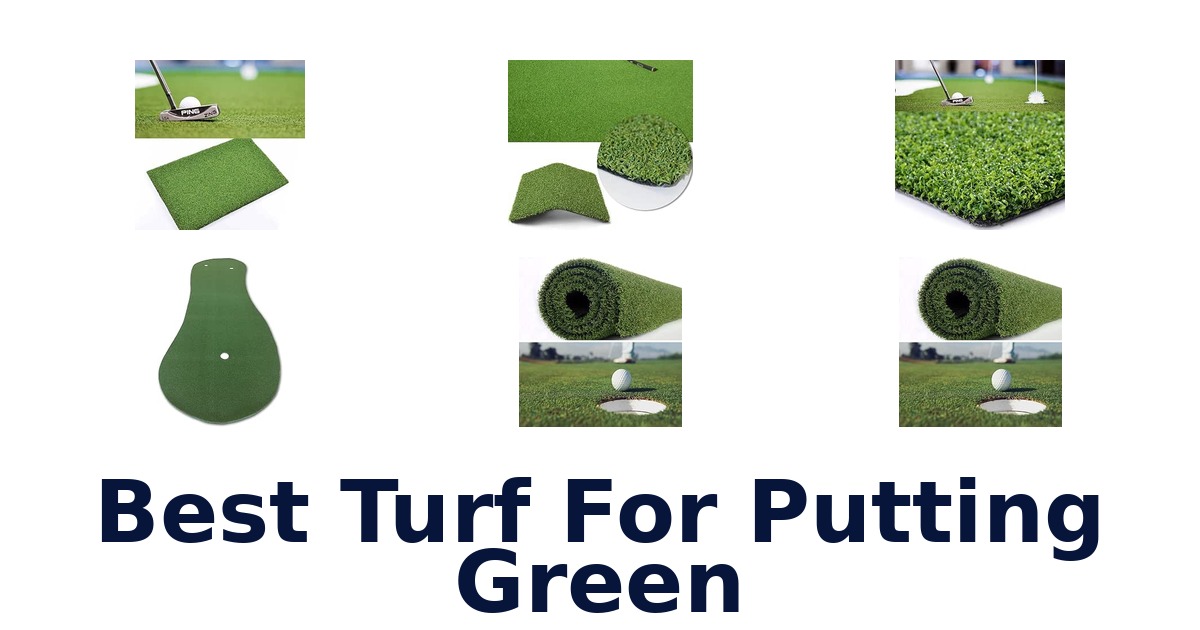Best Turf For Putting Green