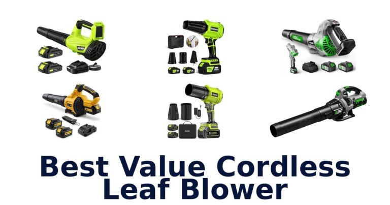 Best Value Cordless Leaf Blower