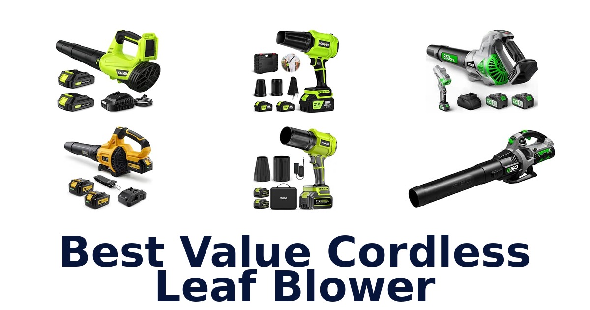 Best Value Cordless Leaf Blower