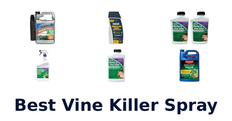 Best Vine Killer Spray