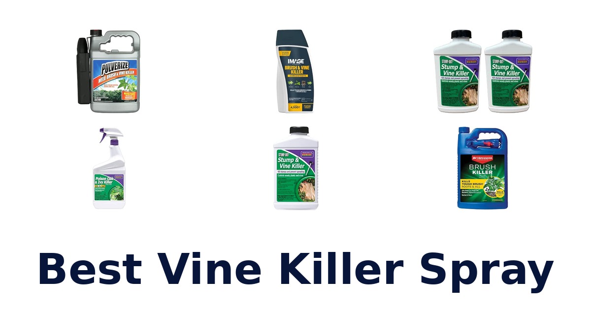Best Vine Killer Spray