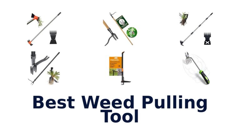 Best Weed Pulling Tool