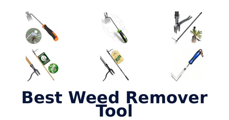 Best Weed Remover Tool