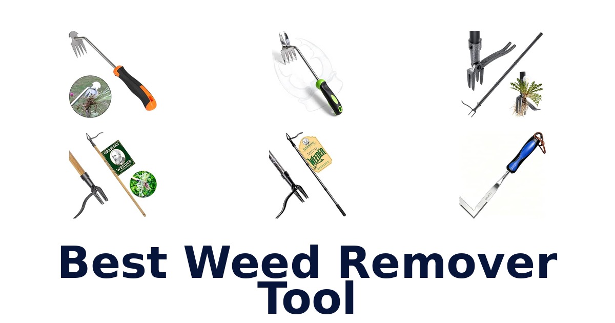 Best Weed Remover Tool